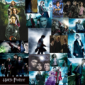 HP characters - harry-potter photo