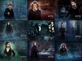 HP characters - harry-potter photo
