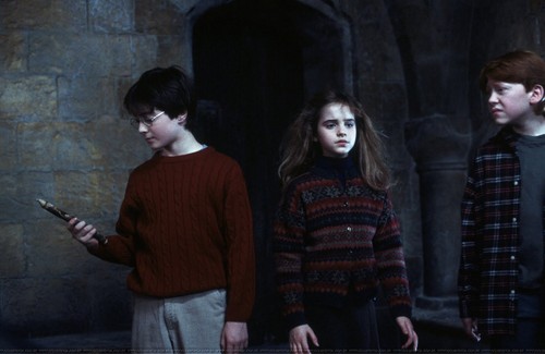  Hermione Granger