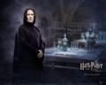 Hp cHaracters - harry-potter photo