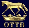  OTTB logo
