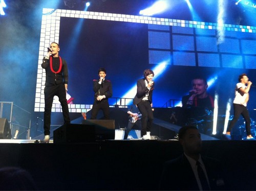  One Direction at Madison Square Garden