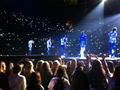 One Direction at Madison Square Garden - one-direction photo
