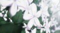 Sky chord ~Otona ni Naru Kimi e~ - bleach-anime photo