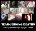 Tear-Jerking Deaths - anime photo