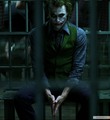 The Joker - the-joker photo