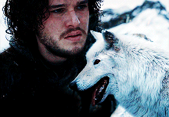  Jon Snow & Ghost