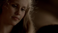 tvd - claire-holt photo
