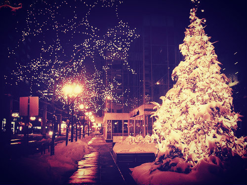  ★ クリスマス trees ☆