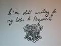 ~Harry Potter Forever~ - harry-potter photo