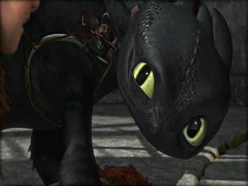 ★How To Train Your Dragon☆ 