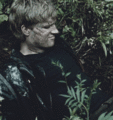 'The Hunger Games' Gifs - the-hunger-games photo