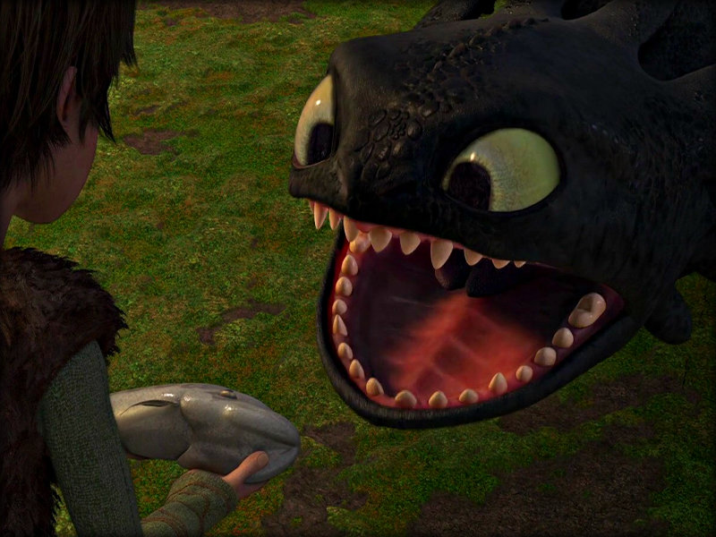 -Toothless-how-to-train-your-dragon-33059198-800-600.jpg