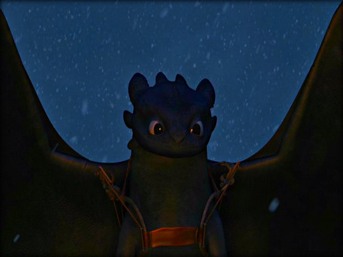 ★ Toothless ☆ 