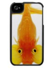  Bubble eye goldfish iPhone case