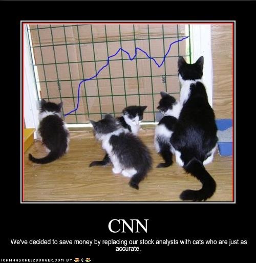 Funny LOL Pics of cats - LOL Photo (33097116) - Fanpop