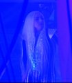 Gaga at The Rolling Stones' concert before performing - lady-gaga photo