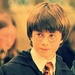 Harry-The Philosopher's Stone - harry-potter icon