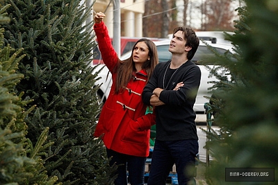 Ian and Nina Shopping for Christmas trees 