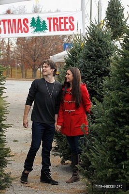  Ian and Nina Shopping for Krismas trees