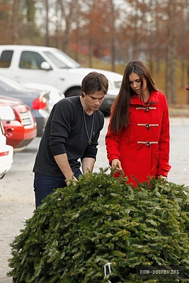  Ian and Nina Shopping for Рождество trees