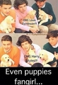 It's so true! - one-direction photo
