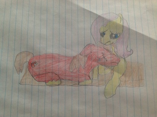  Me and Fluttershy 2