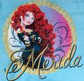 Merida 2d - disney-princess photo