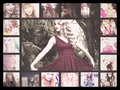 My Taylor Collage! :D - taylor-swift fan art
