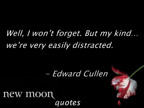  New moon frases 81-100