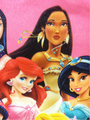Pocahontas new look - disney-princess photo