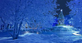 Snowy Blue Christmas - christmas photo