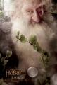 The Hobbit Movie Poster - Balin - the-hobbit photo