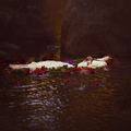 The Re-Imaging of Ophelia - daydreaming photo