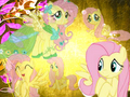 fluttershy tribute - my-little-pony-friendship-is-magic photo