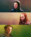 Catelyn, Sansa & Arya - game-of-thrones fan art