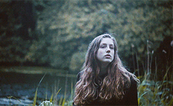  Birdy's Shelter musique Video