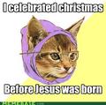 Cat meme  - christmas fan art