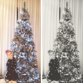 Christmas at ZAyn`s household - one-direction photo