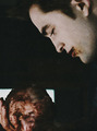 Edward&baby Renesmee,BD part 1 - twilight-series photo