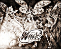 I made this pic (well, edited) - the-winx-club photo