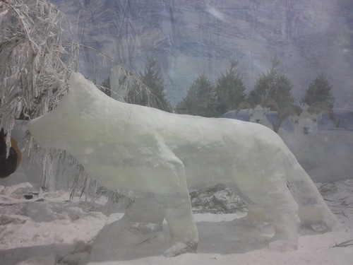  Ice serigala, wolf statue