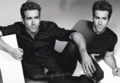 Ryan Reynolds - ryan-reynolds fan art