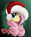 Mlp Christmas  - my-little-pony-friendship-is-magic photo