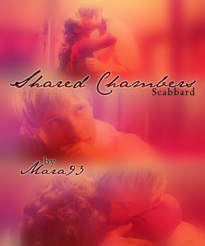  Shared Chambers: ala, scabbard Poster