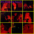 Sleeping Beauty collage - disney-princess photo