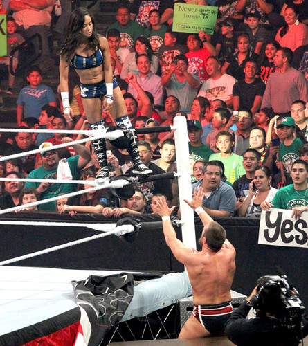The Many Loves Of A.J. Lee: AJ,CM Punk,Daniel Bryan