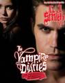 The Vampire Diaries Novels: Stelena cover  - elena-gilbert fan art