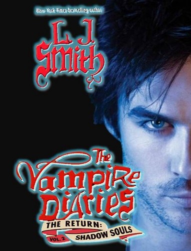  The Вампиры Diaries Novels: Damon book cover
