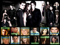 Vampire Diaries Cast - the-vampire-diaries fan art